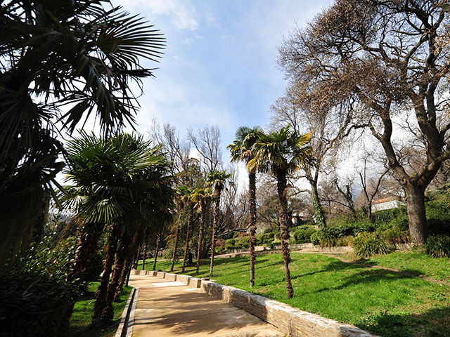 Алупкинский парк