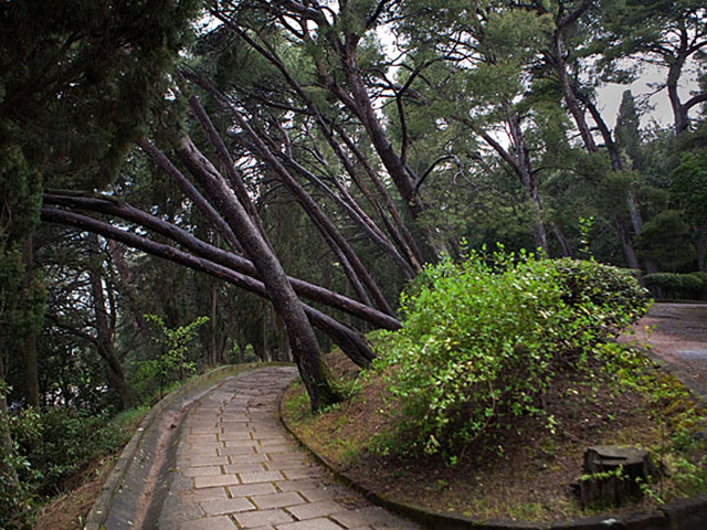 Карасанский парк