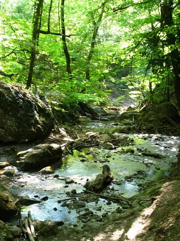 река на которой находится Водопад Джур-Джур