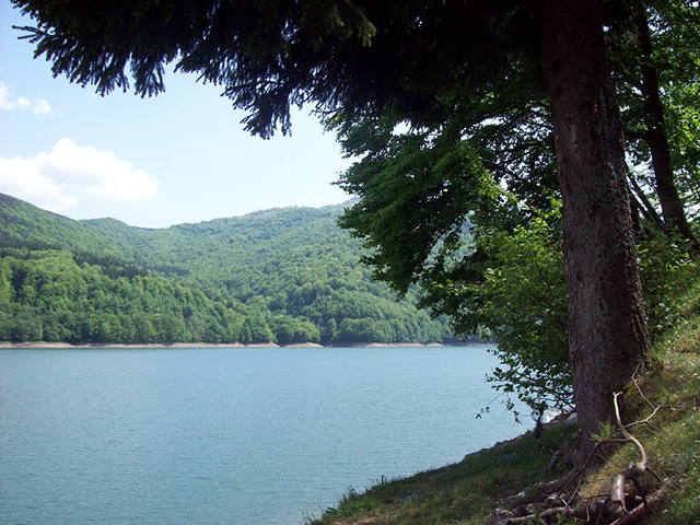 Вільшанське водосховище