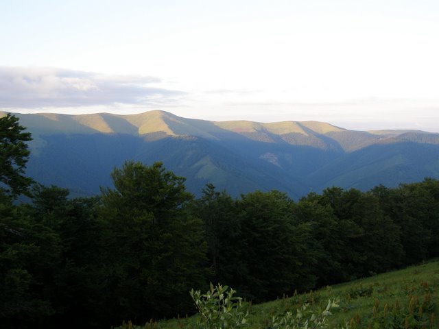 Полонина Боржава