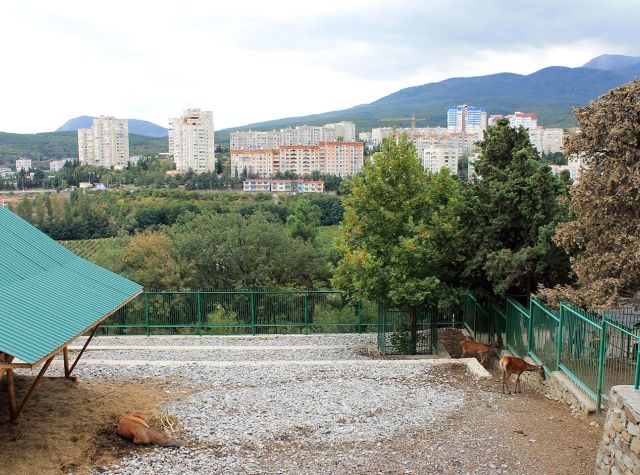 вальеры с благородными оленями на фоне жилых кварталов Алушты