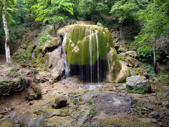 весь заросший зеленым мхом, водопад стоит одиноко среди леса