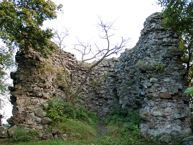 Королівський замок