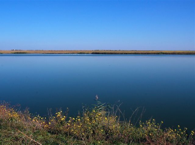 зеркальная гладь Донузлава