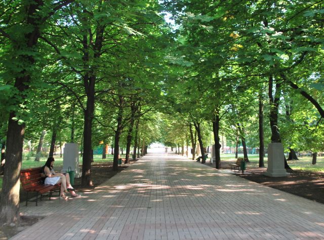 центральная аллея Городского сада
