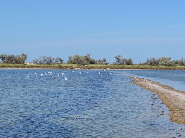 фауна Національного природного парку 