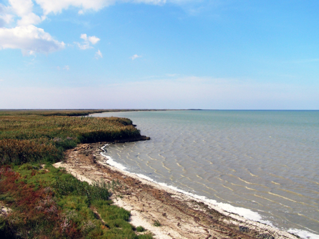 Гниле море