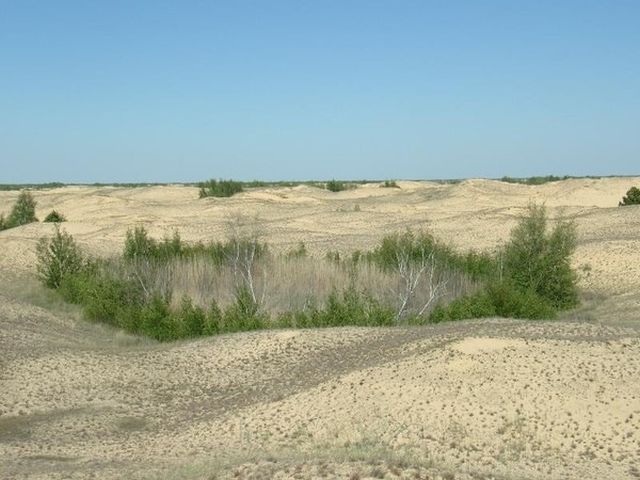 оаза в Олешківській пустелі