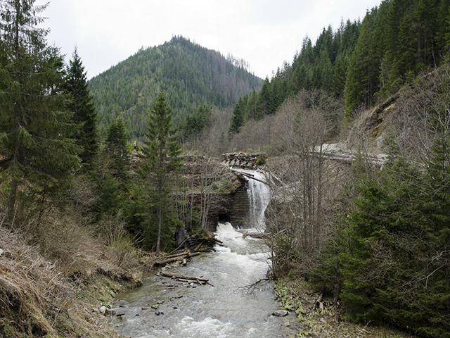 Красоты парка «Черемошский»