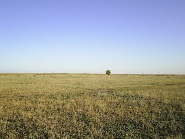 типичный ландшафт степи