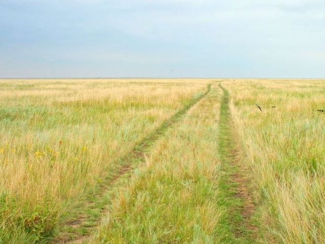 ландшафтный парк «Половецкая степь»