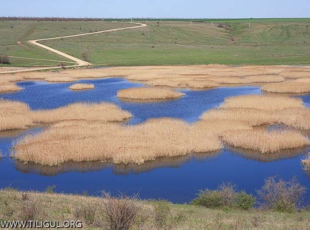Регіональний ландшафтний парк 