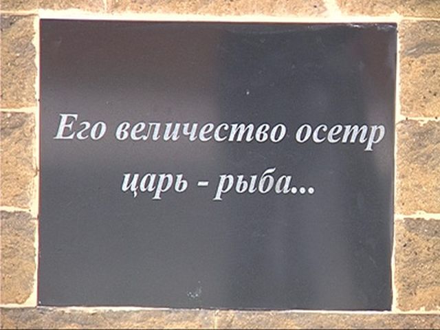 надпись на табличке памятника