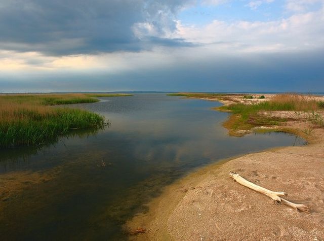 пейзажи заповедника «Белосарайская коса»