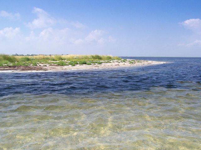чистая вода у берегов Белосарайской косы