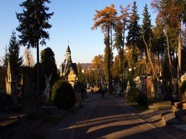 аллеи лычаковского кладбища